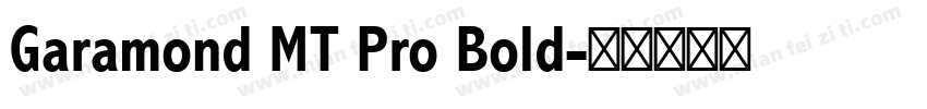 Garamond MT Pro Bold字体转换